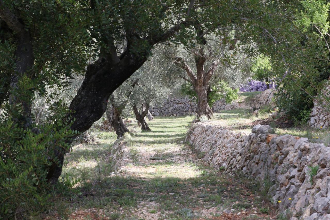 Villa Foia Vella - Adults Only Benigembla Kültér fotó